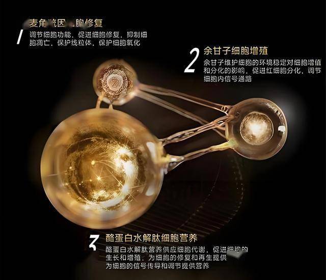 宿松：暑期温馨陪伴 妇联暖心上线 宿松资讯网